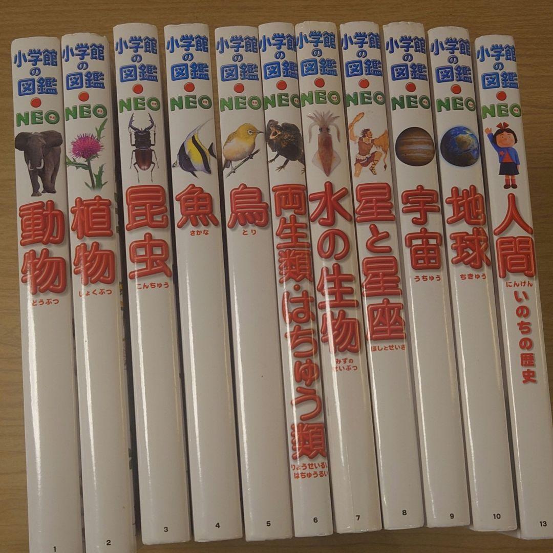 小学館の図鑑NEO11巻セット