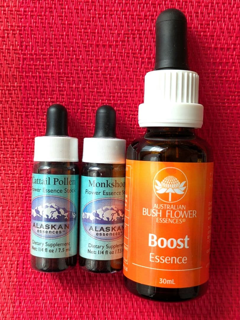 【専用】ブースト 『強化』オーストラリアンブッシュ　フラワーエッセンス　他
