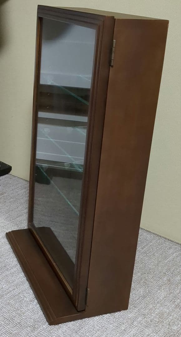 コレクションケースディスプレイケース ブラウン 塩川光明堂 カルトーネスカーラT