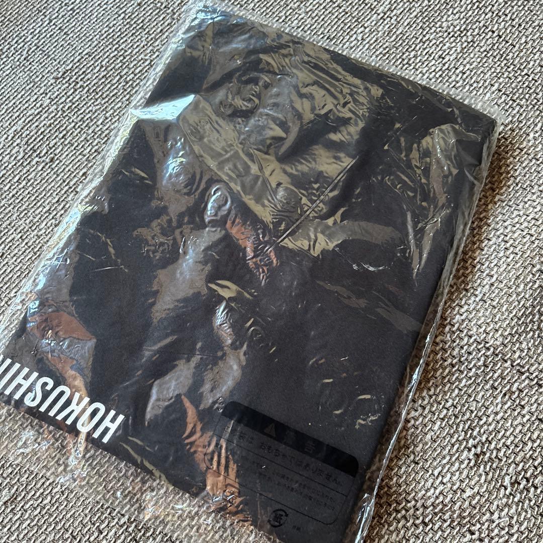 DESCENTE インターハイ Lサイズ Tシャツ 国体オールジャパン