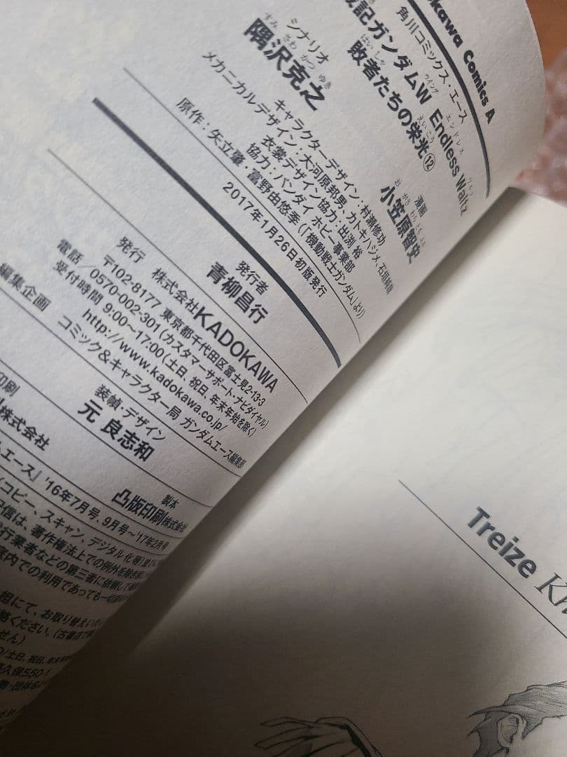 新機動戦記ガンダムW Endless Waltz 敗者たちの栄光 1～13巻