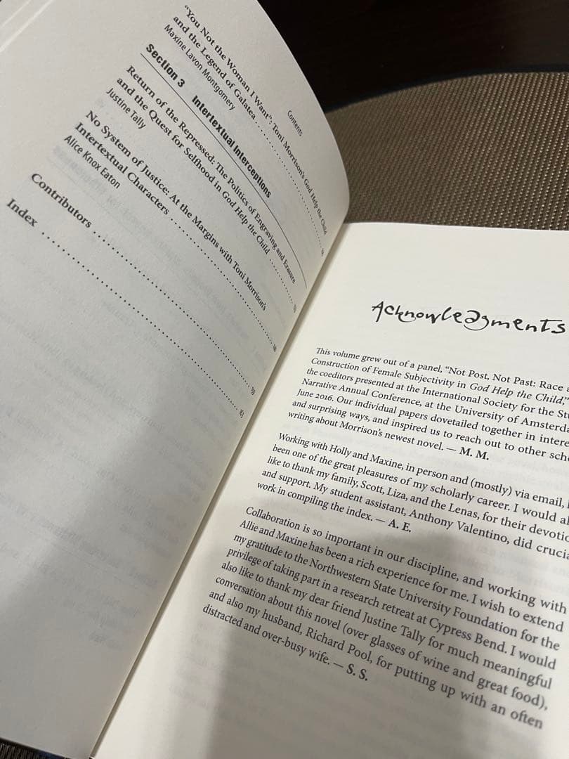 洋書 God Help the Child - Critical Essays