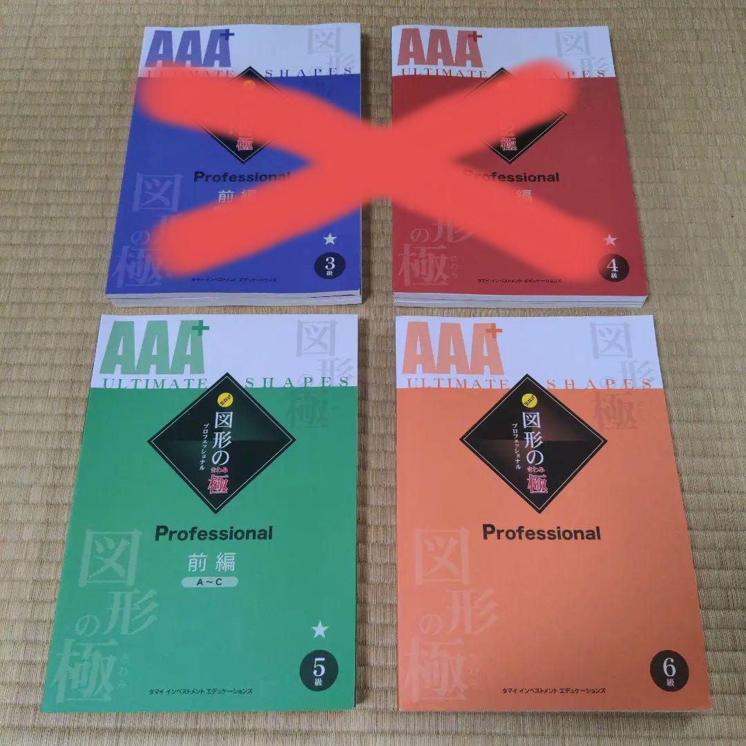 新品未使用　図形の極プロフェッショナル　5級6級