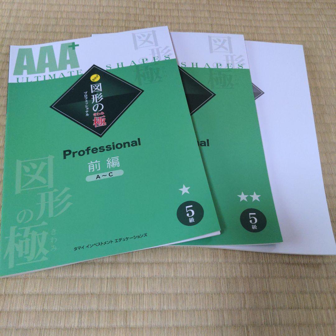 新品未使用　図形の極プロフェッショナル　5級6級