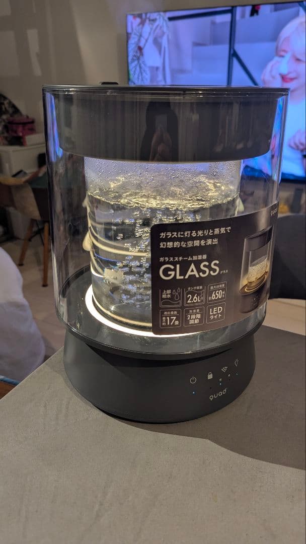 QUADS ガラス スチーム加湿器 ガラスポッド式 グレー