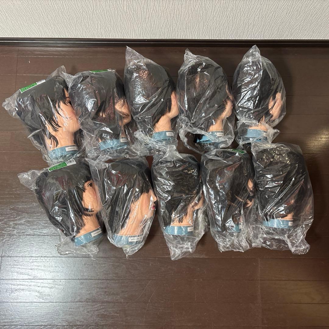 理美容師　練習用カットウィッグ　10体