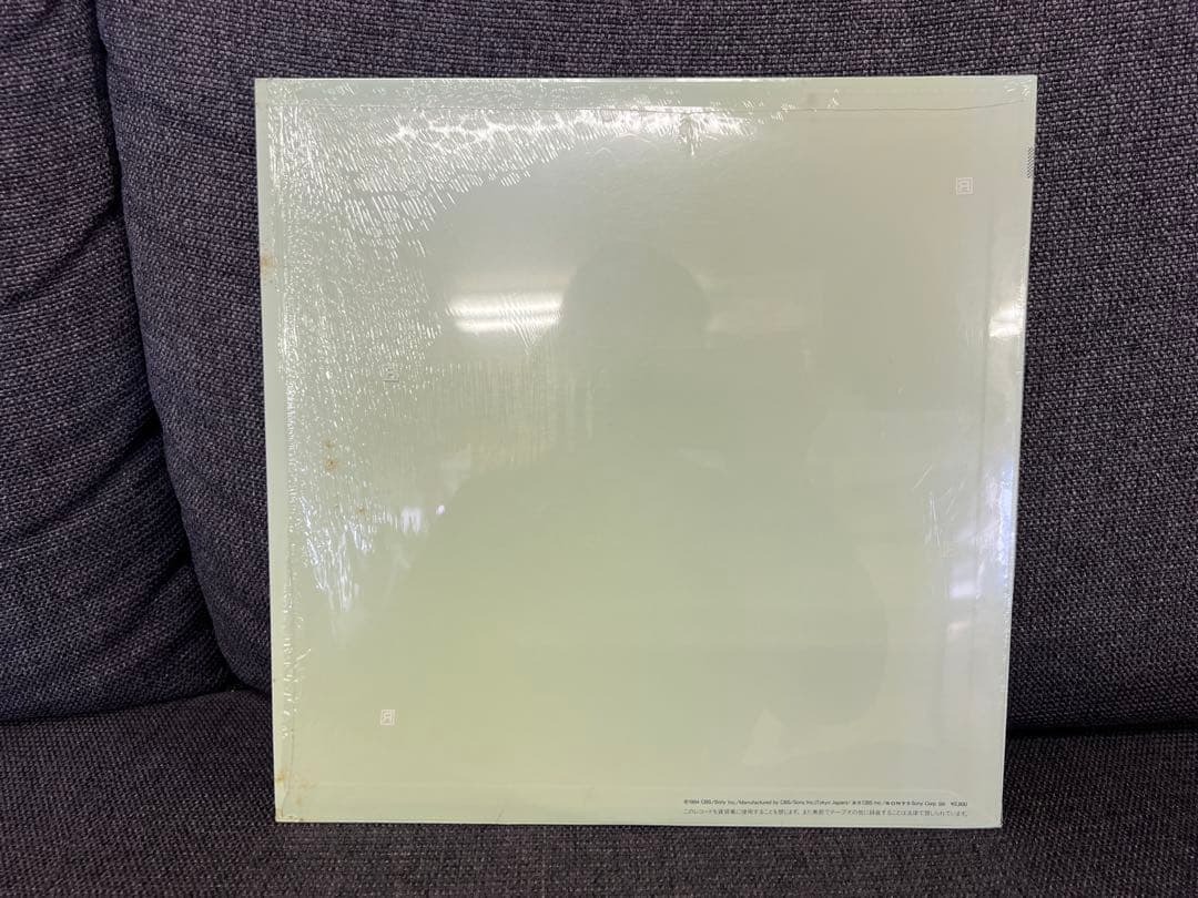 帯付・付属品完備　大滝詠一 EACH TIME LP 邦楽28AH-1555