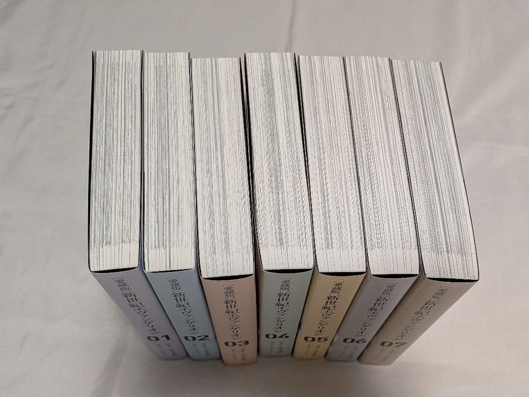 新世紀エヴァンゲリオン 愛蔵版 特典付き 複製原画