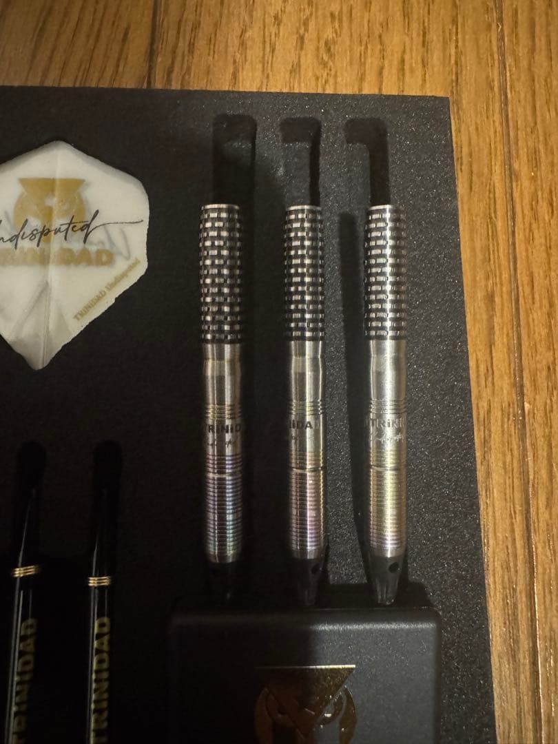 美品　ダーツ　バレル　ヒューゴ2 ソフト　トリニダード