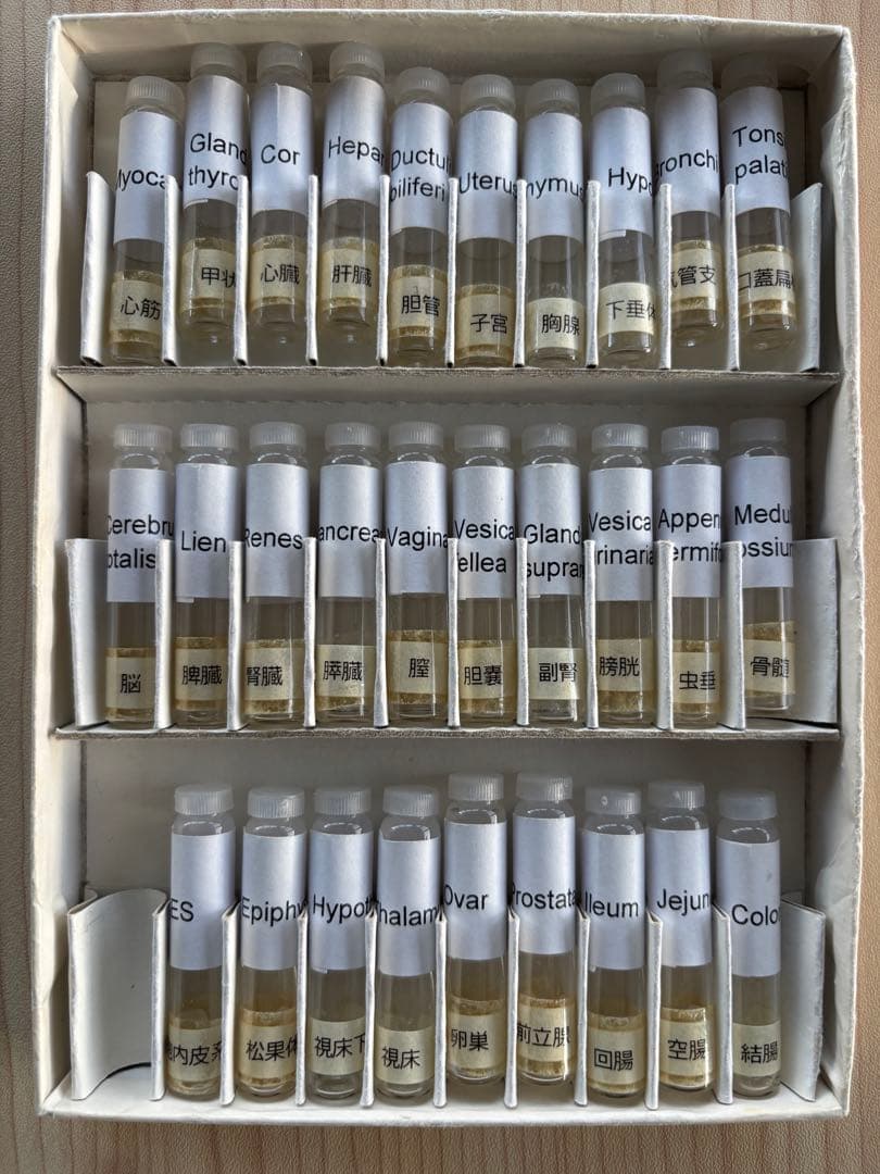 フィシオエナジェティック　臓器テストキット