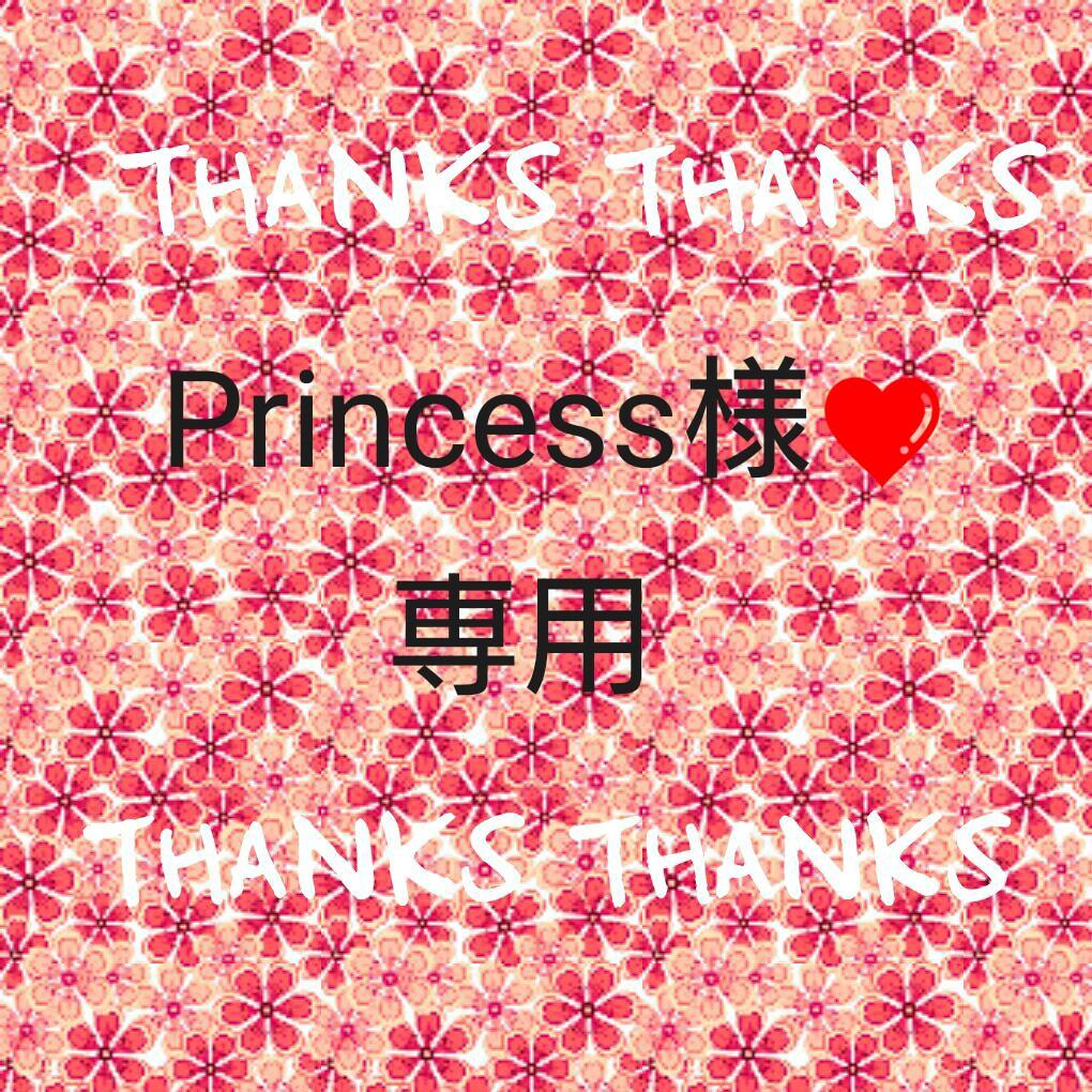 Princess☆画像確認用