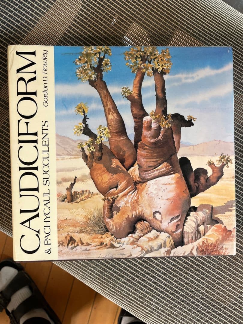 洋書 Caudiciform and Pachycaul Succulents