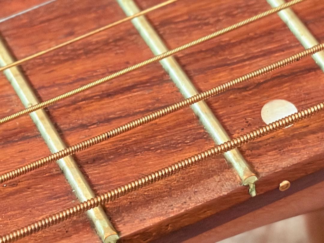 アコースティックギター （エレアコ）Art & Lutherie