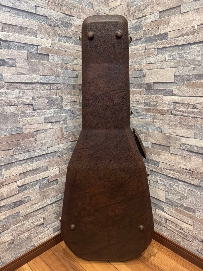 Takamine TSA500アコースティックギター 、ハードケース、チップ