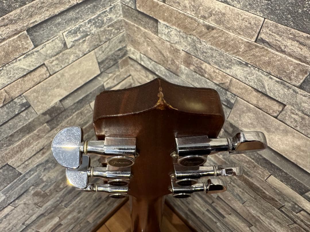 Takamine TSA500アコースティックギター 、ハードケース、チップ