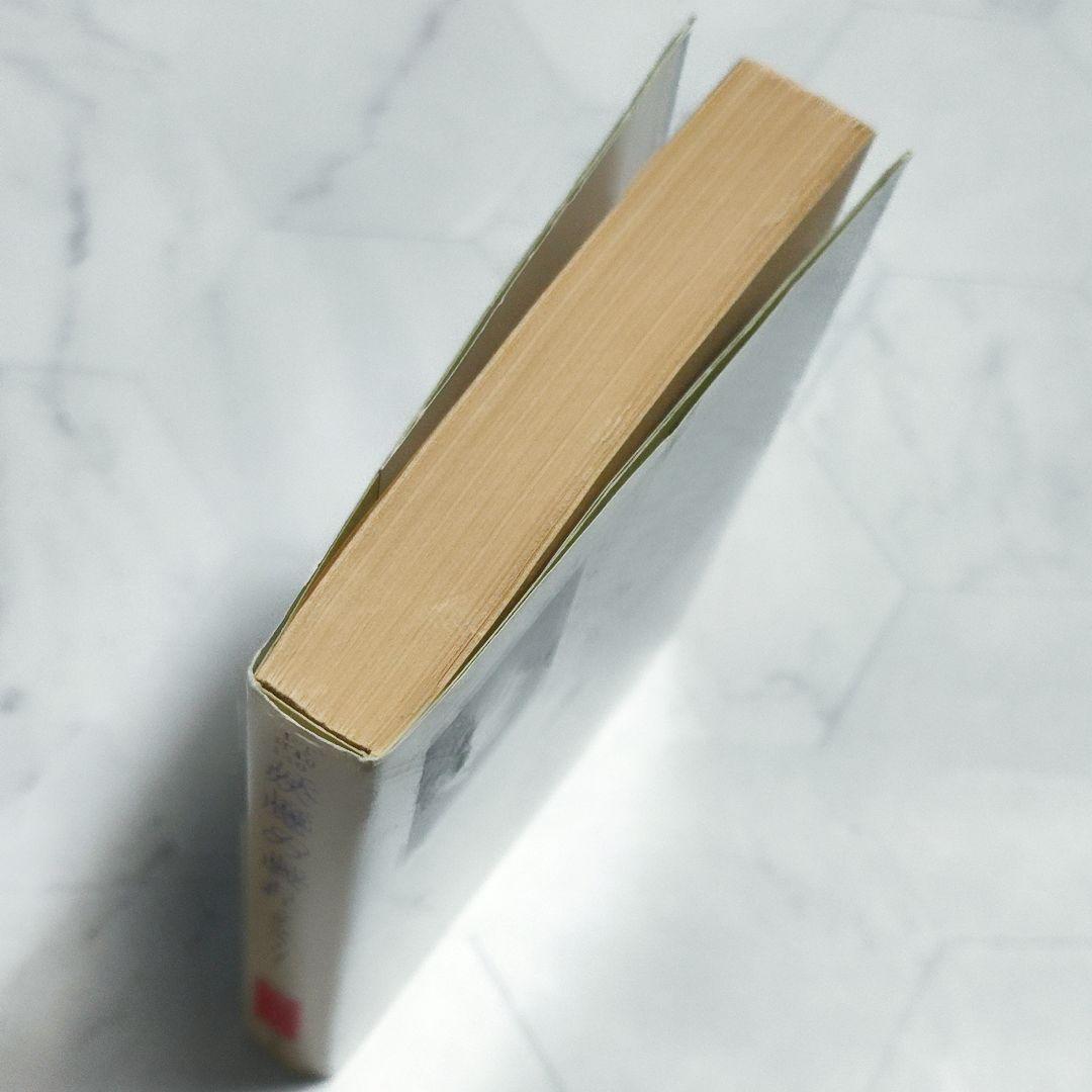 タニス・リー 妖魔の戯れ