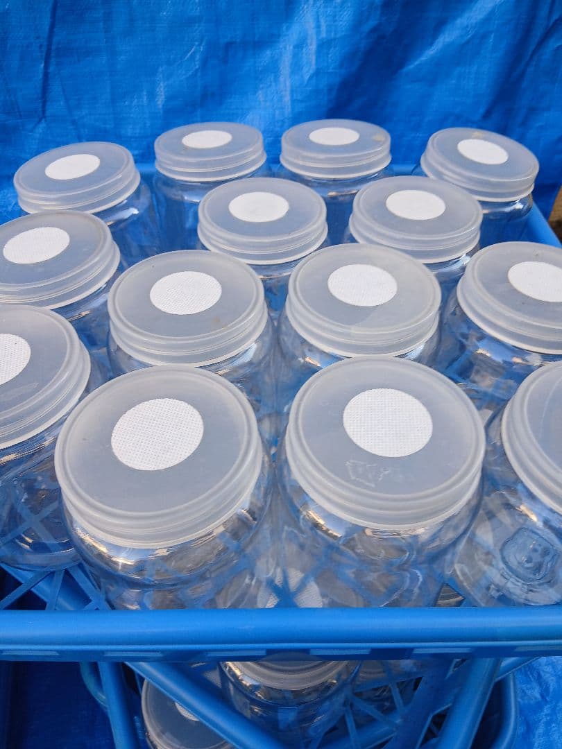 硬質クリアボトル、ボトルコンテナーなど幼虫飼育セット