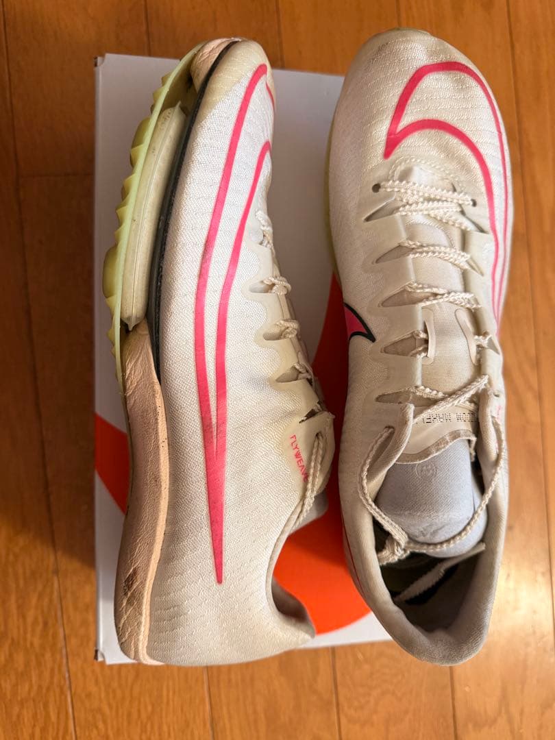 Nike エアズームマックスフライ