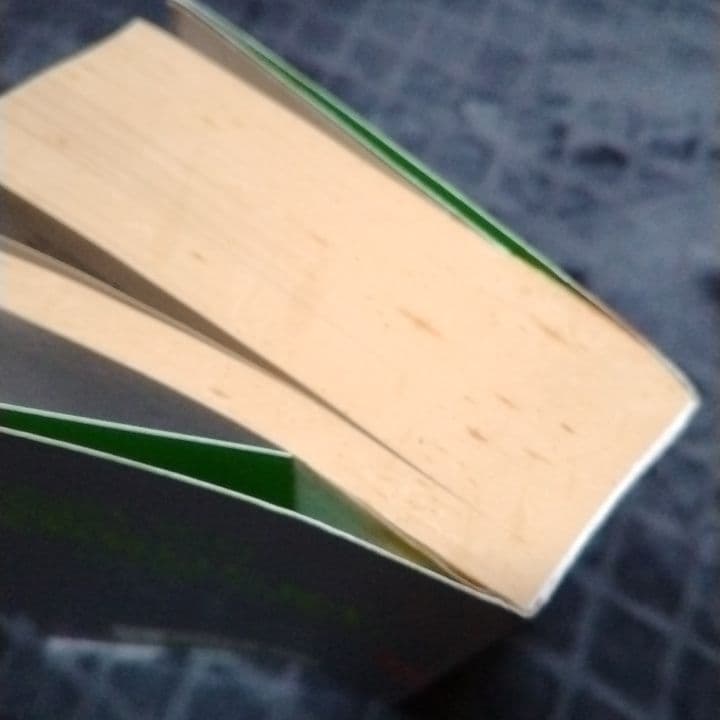 ハルキ・ムラカミ 1Q84 ドイツ語版