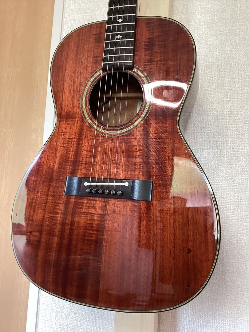 希少！パーラーサイズ エレアコ ハワイアンコア材 タカミネアコースティックギター