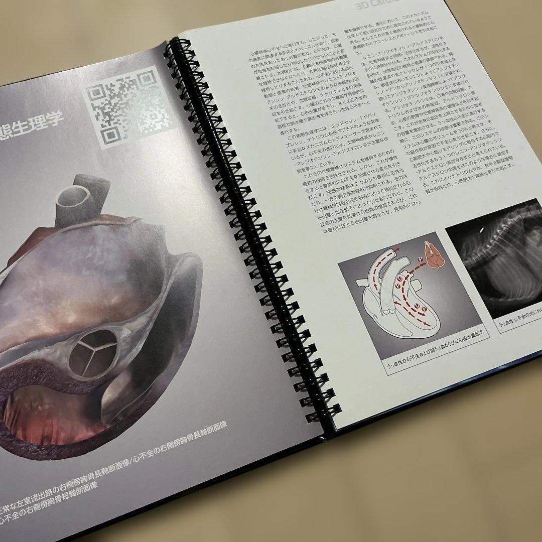 小動物の3D心臓病学