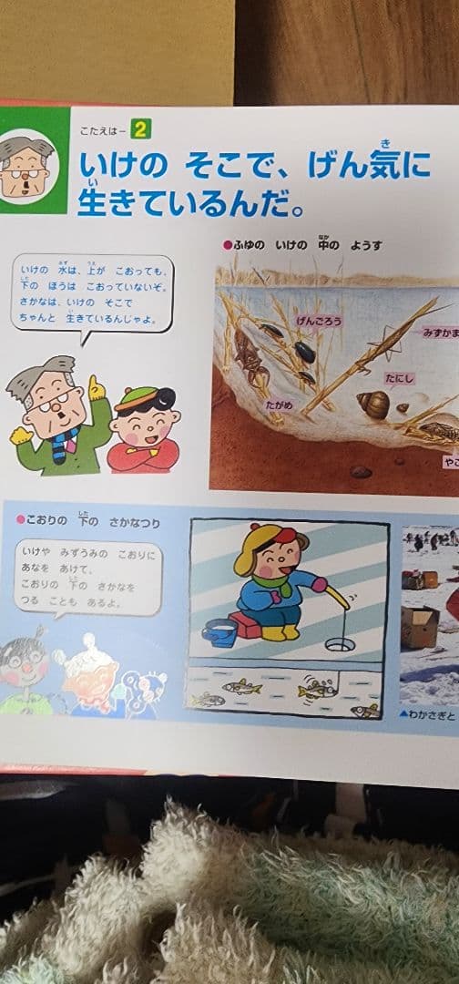 ことばのえほん ・なぜなぜ？クイズ絵本・小学館ふしぎの図鑑・小学館くらべる図鑑