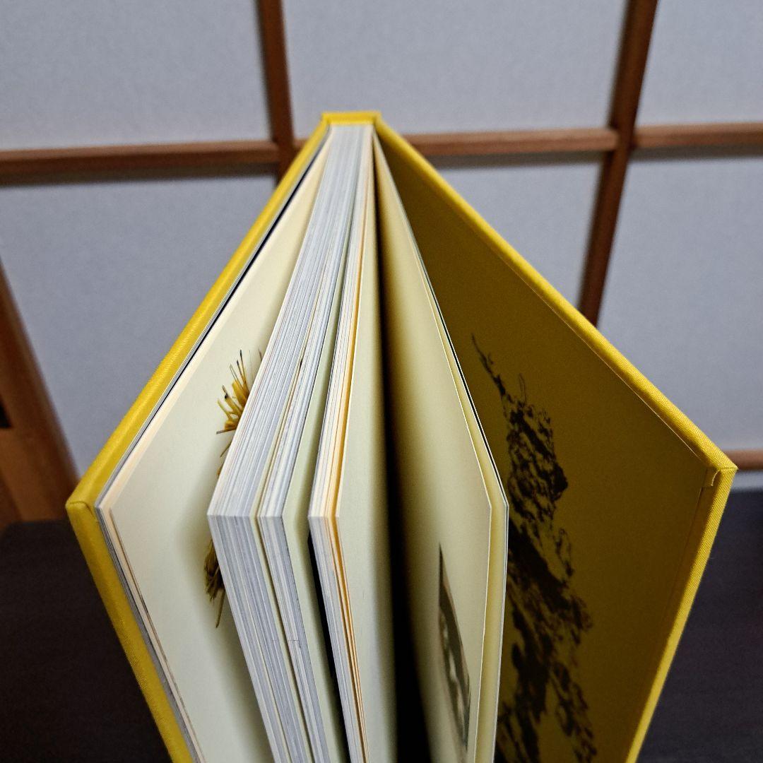 サイン入りStealing God's Fire RYOJI KOIE 鯉江良二