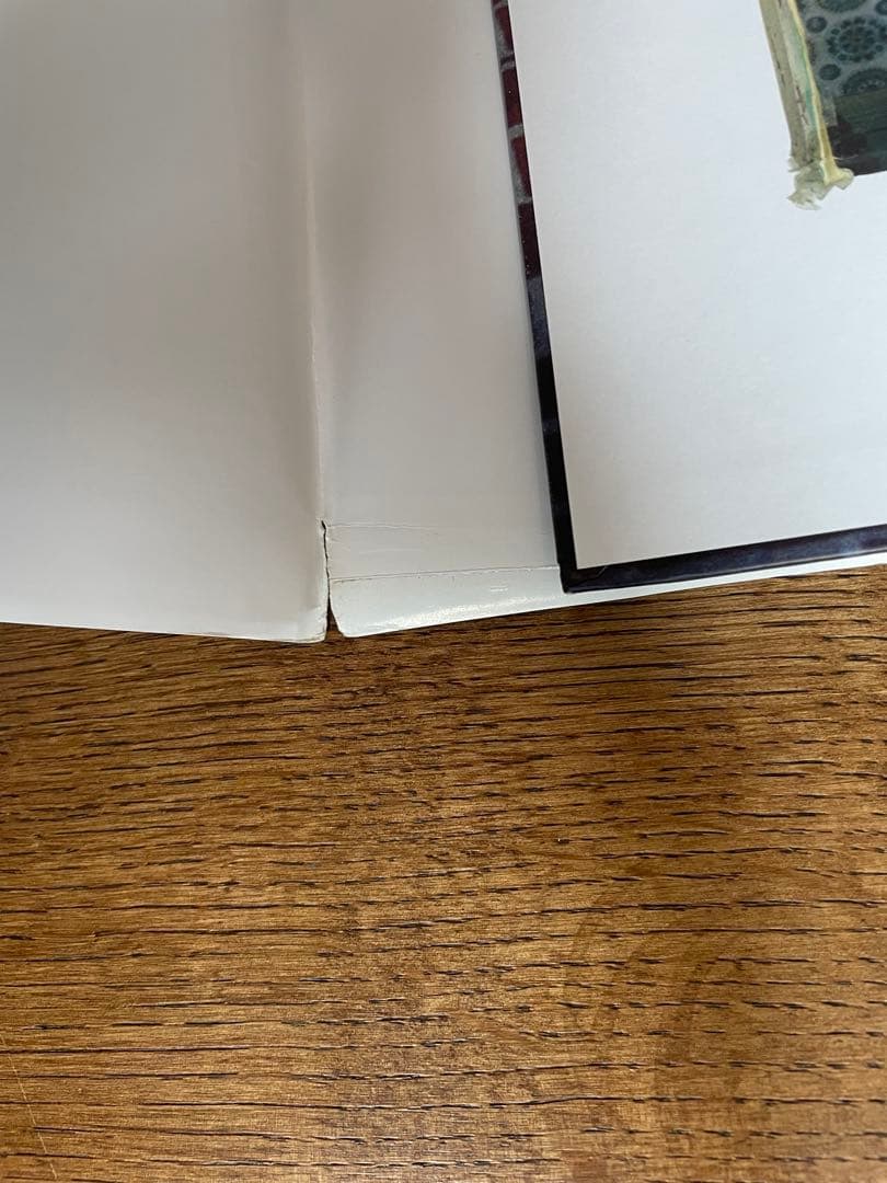 洋書 Ryan McGinley the kids were alright