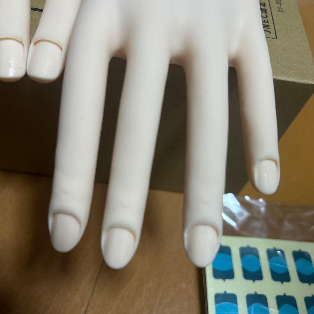 JNEC認定ハンドモデル　ネイリスト技能検定　美品