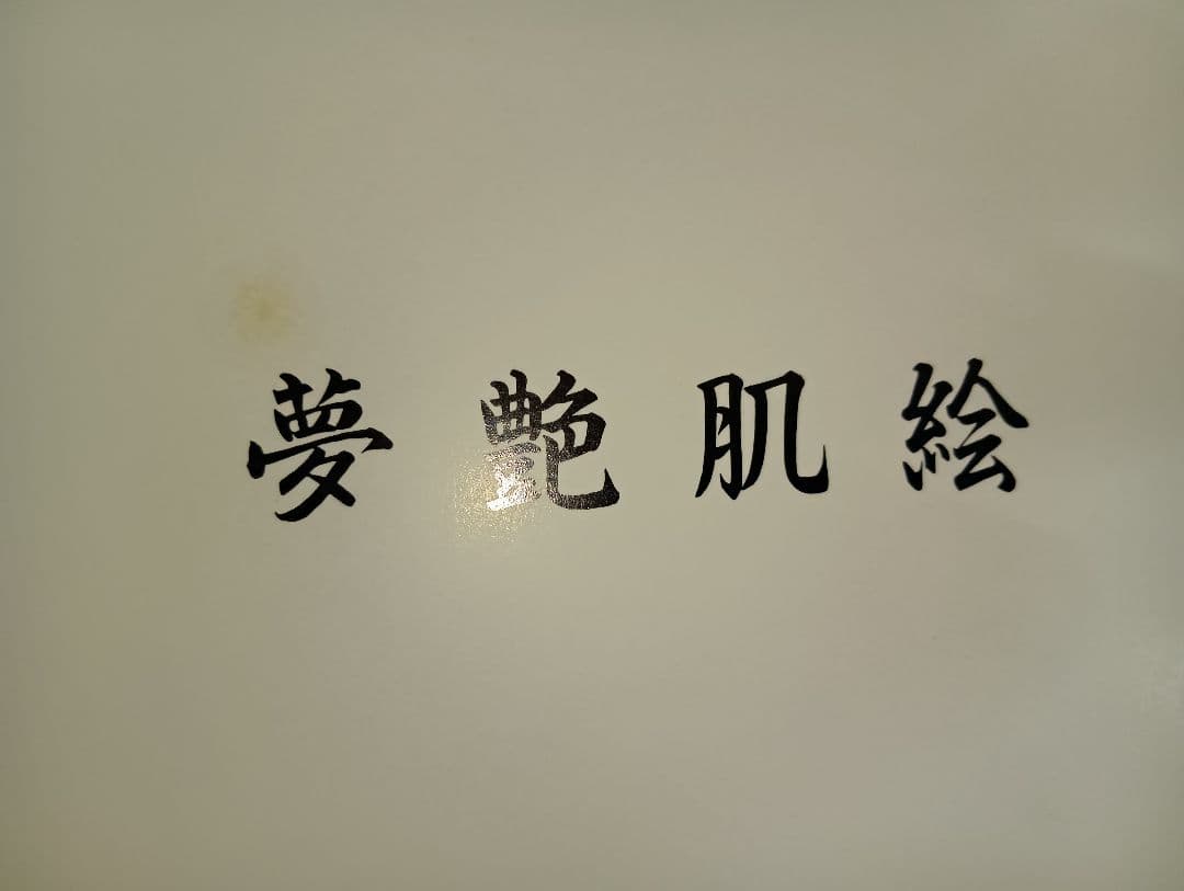 夢艶肌絵　（入墨/刺青をした女性の写真集）竹書房