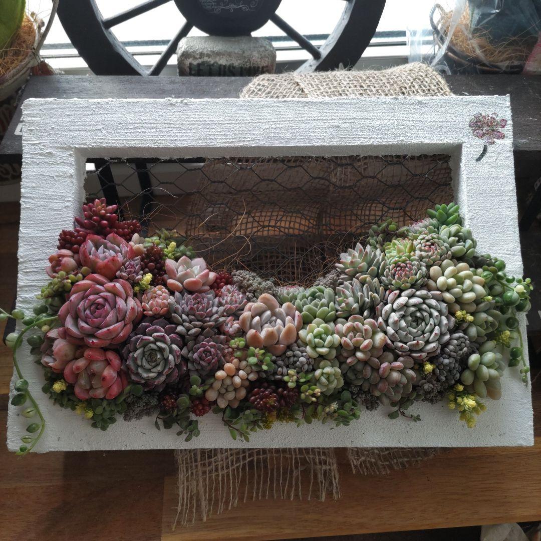 ジュリアンオーダーページ