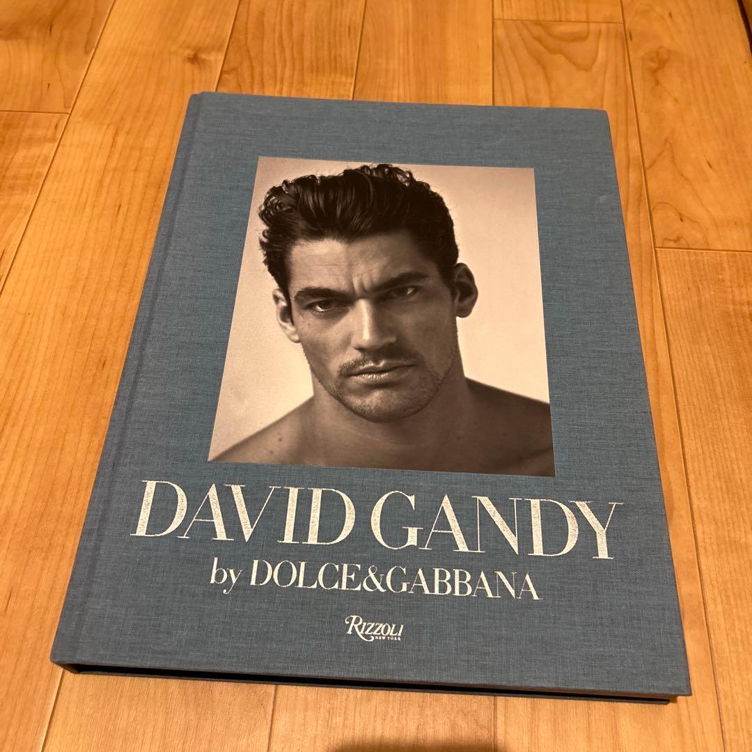 アート・デザイン・音楽 DAVID GANDY by DOLCE&GABBANA