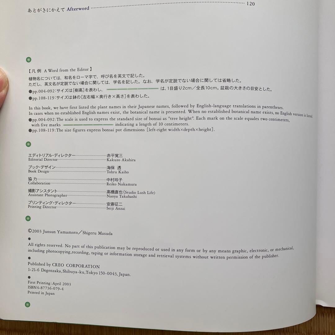 THE MODERN BONSAI 盆栽宇宙