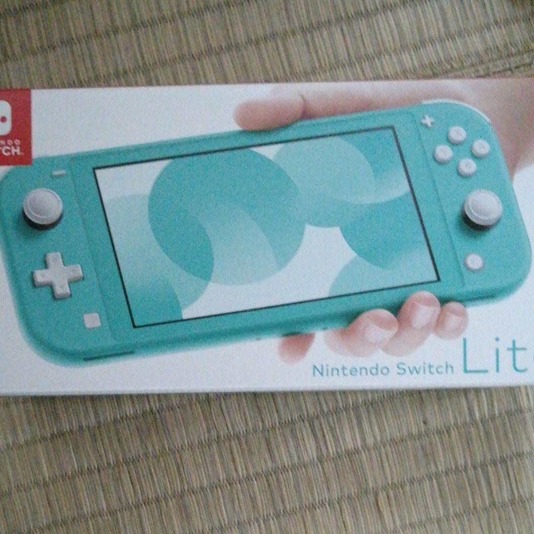 Nintendo Switch 海賊無双4付き