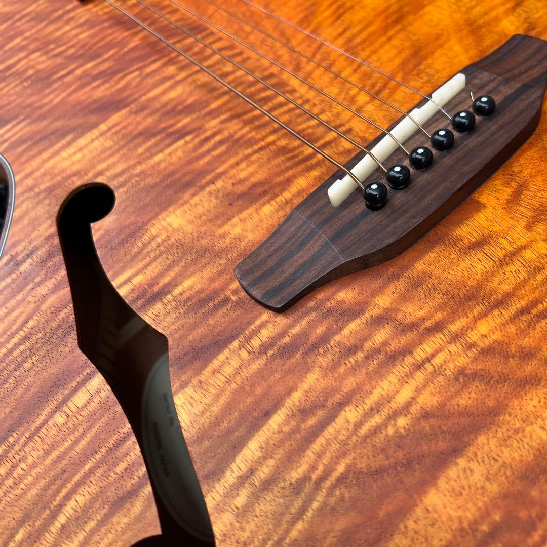 ARIA FET-F2　/アリア　エレアコ