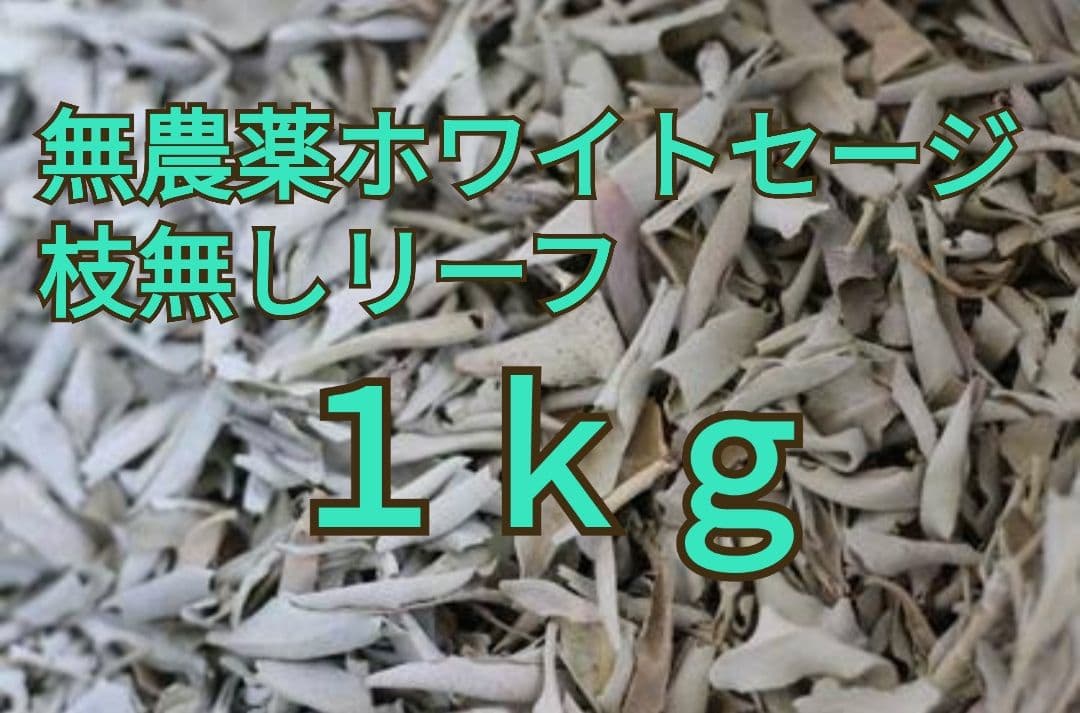 まるページ☆無農薬ホワイトセージ枝無しリーフ1.5KG