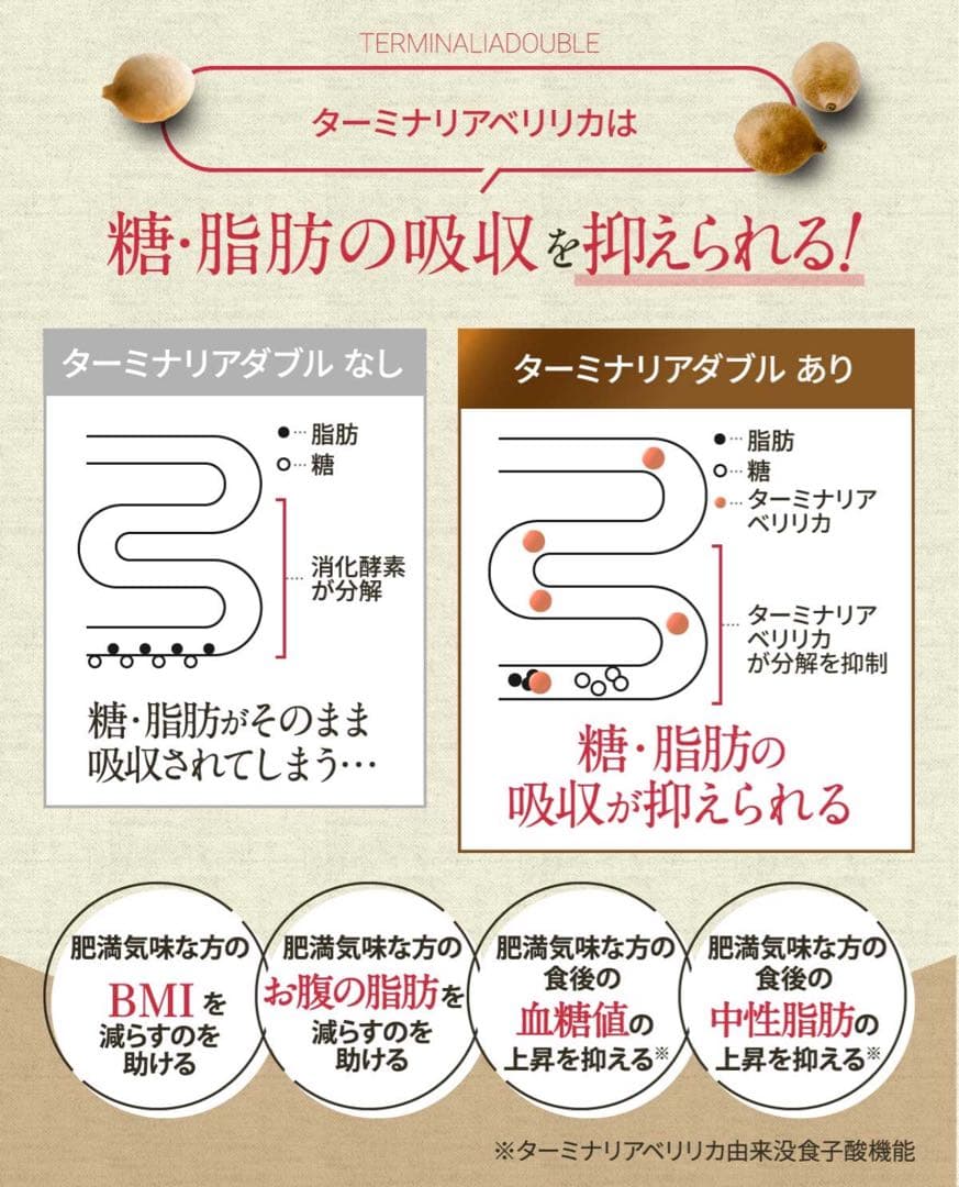 【新品未開封】ターミナリア ダブル 協和食研　120粒入×10袋