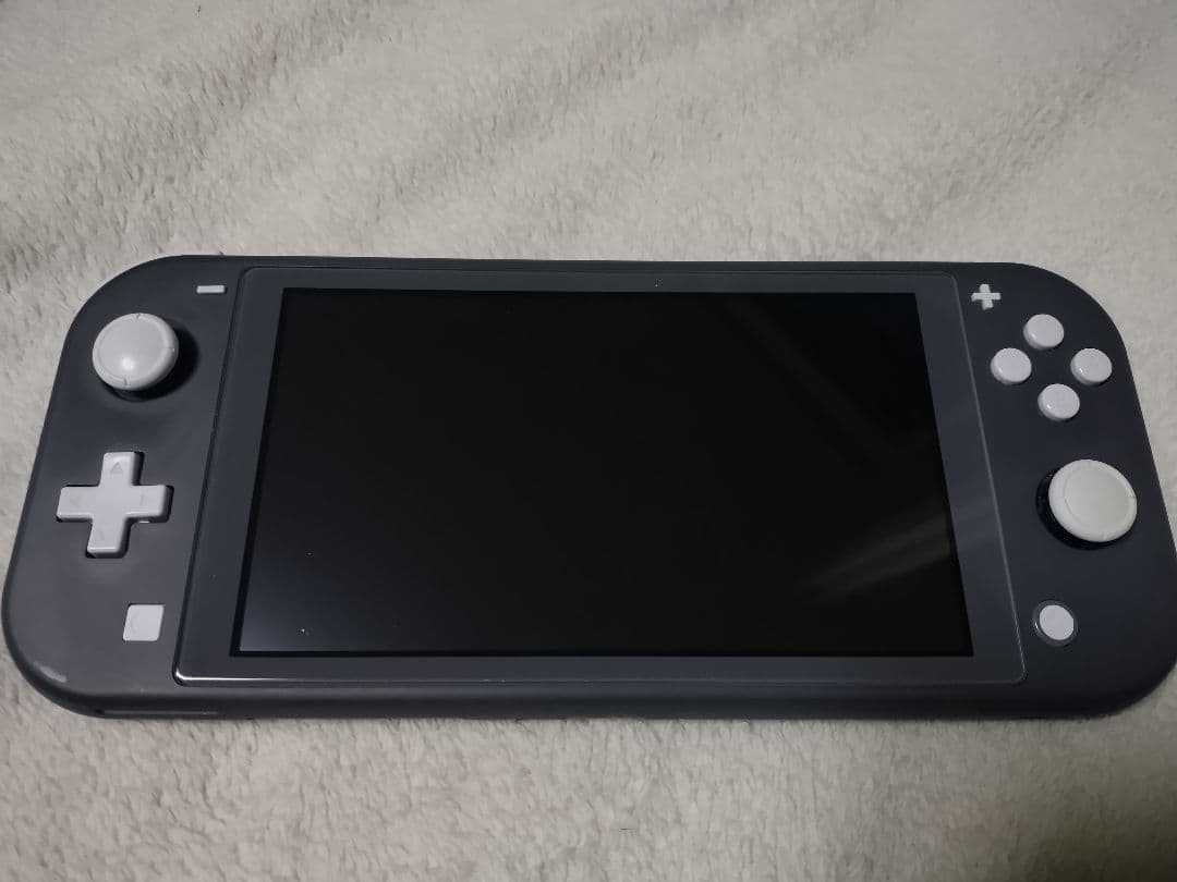 Nintendo Switch Lite グレー 本体＆充電ケーブル＋オマケ付