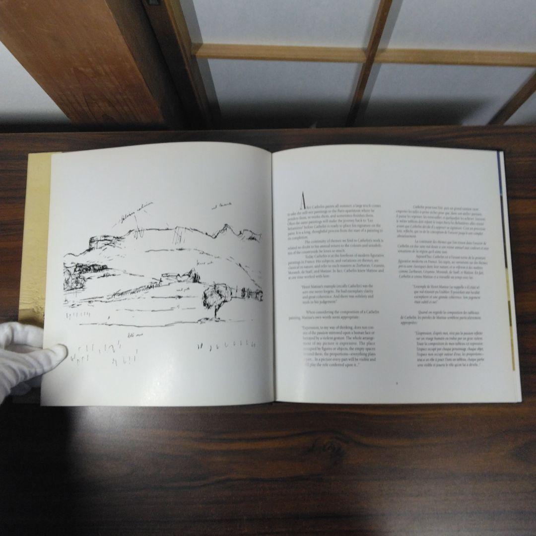 Cathelin　Expressions of Life　洋書　書込みあります。