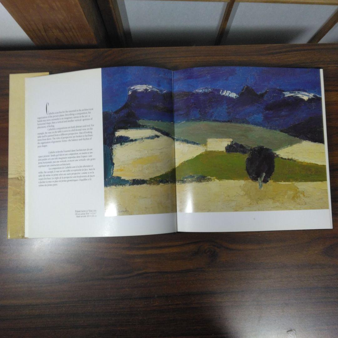 Cathelin　Expressions of Life　洋書　書込みあります。