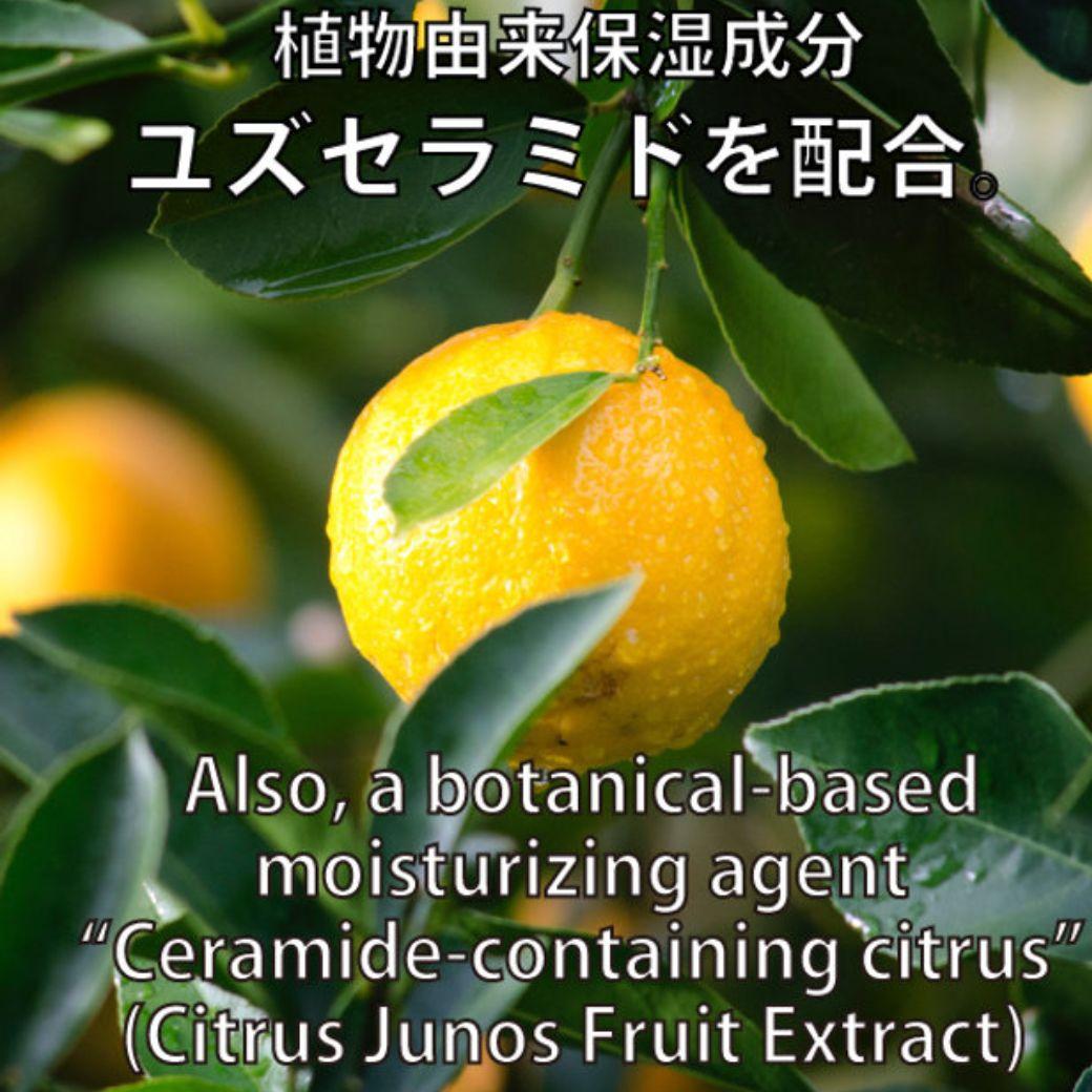 Ajn EGフェイス100mL　美容液　ヒルコス（helcos）