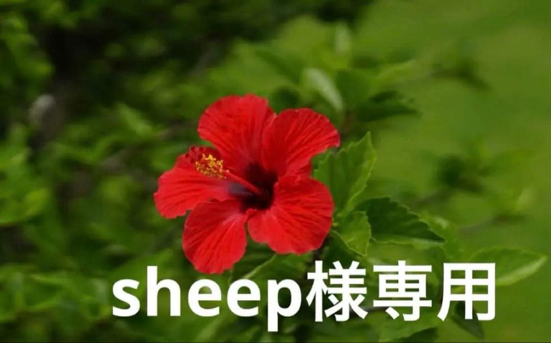 ストッケ　ホワイト楕円形ベビーベッド