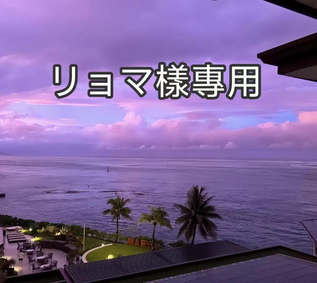 リョマ樣專用Stussy ブラックジャケット　アクティブジャケット　デトロイト