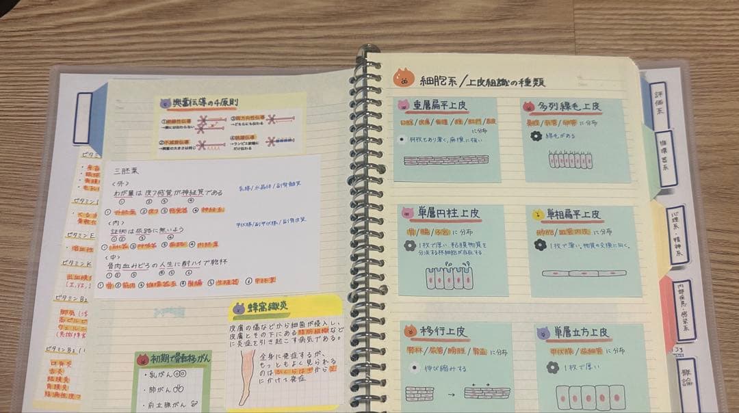 理学療法士 作業療法士 まとめノート、ふせんノート 【コピー】