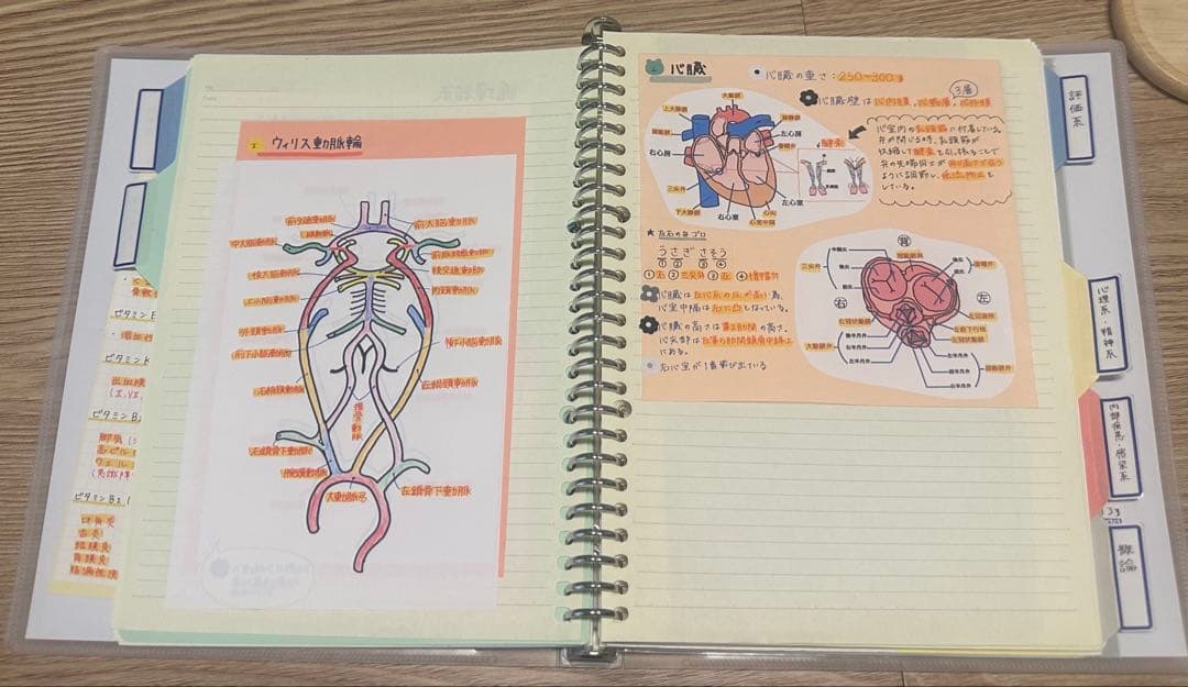 理学療法士 作業療法士 まとめノート、ふせんノート 【コピー】