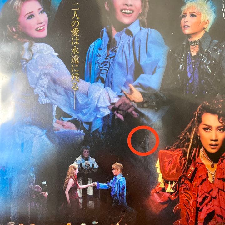 宝塚 星組 梅田芸術劇場公演 ミュージカル ロミオとジュリエットDVD 初演