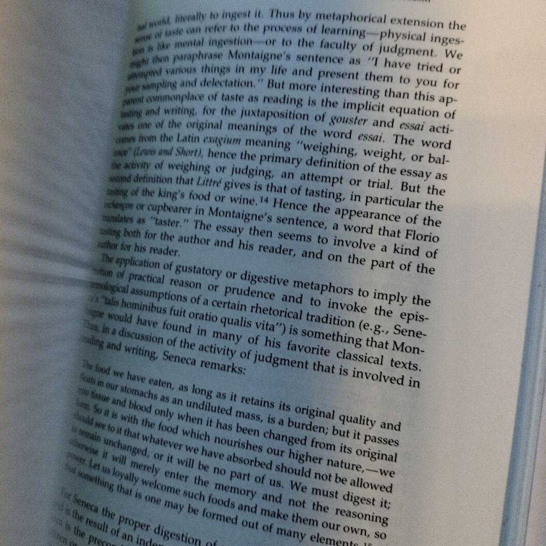 洋書 Rhetoric, Prudence, and Skepticism in th