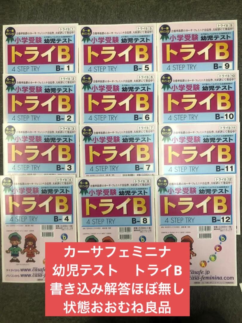 カーサフェミニナ　小学校受験　幼児テスト　トライB1〜12 書き込み/解答無