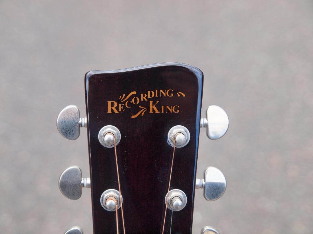 Recording King アコースティックギター RO-G6