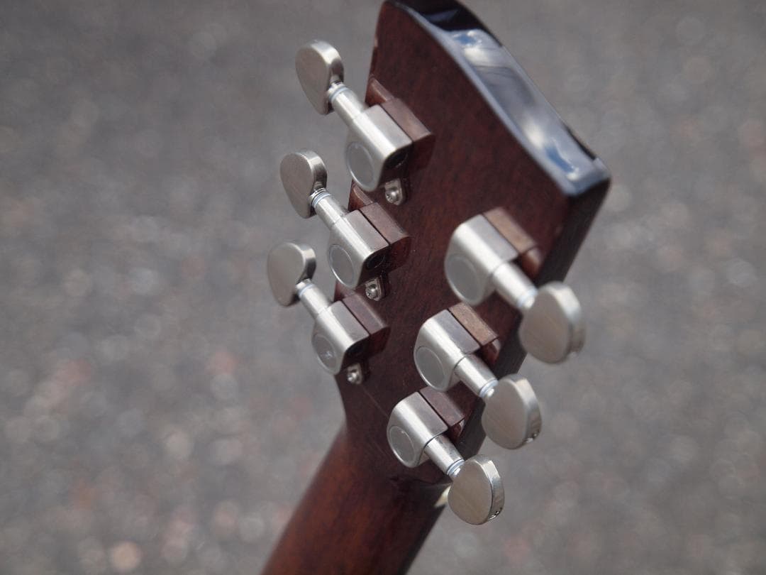 Recording King アコースティックギター RO-G6